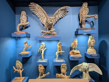 国立科学博物館に投稿された画像（2024/12/21）