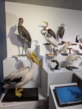 国立科学博物館に投稿された画像（2024/12/21）