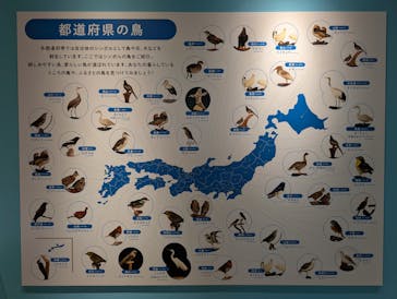 国立科学博物館に投稿された画像（2024/12/21）