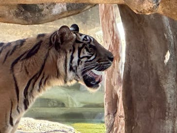 恩賜上野動物園に投稿された画像（2024/12/21）