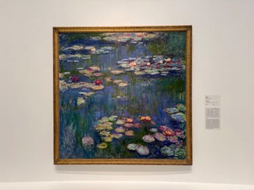モネ 睡蓮のとき（国立西洋美術館）に投稿された画像（2024/12/21）