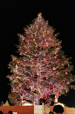 Christmas Market in 横浜赤レンガ倉庫 2025に投稿された画像（2024/12/21）