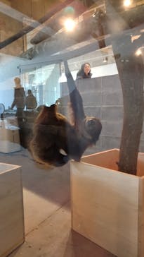 霞ケ浦 どうぶつとみんなのいえに投稿された画像（2024/12/21）