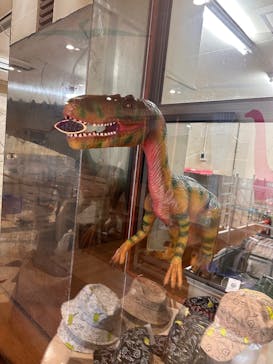 御菓子御殿　名護店　やんばる亜熱帯の森DINO恐竜PARKに投稿された画像（2024/12/21）