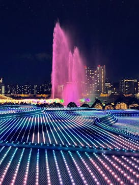 東京メガイルミに投稿された画像（2024/12/21）