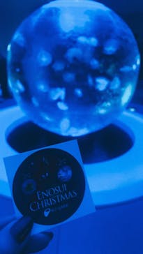 新江ノ島水族館に投稿された画像（2024/12/21）