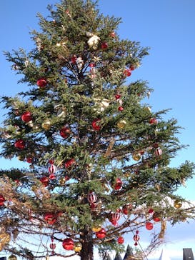 Christmas Market in 横浜赤レンガ倉庫 2025に投稿された画像（2024/12/21）