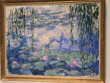 モネ 睡蓮のとき（国立西洋美術館）に投稿された画像（2024/12/21）