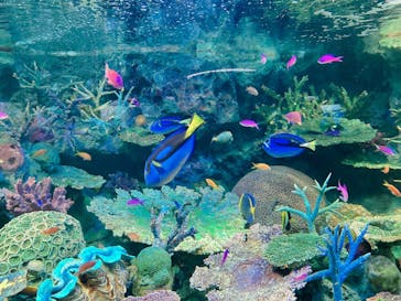 サンシャイン水族館に投稿された画像（2024/12/21）