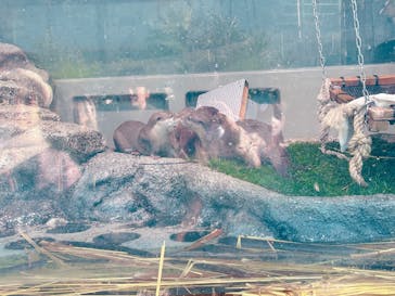 サンシャイン水族館に投稿された画像（2024/12/21）