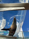 サンシャイン水族館に投稿された画像（2024/12/21）