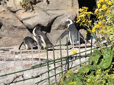 サンシャイン水族館に投稿された画像（2024/12/21）