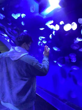 サンシャイン水族館に投稿された画像（2024/12/21）