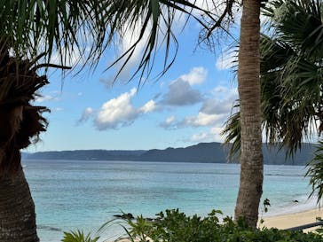 アマミエンシスに投稿された画像（2024/12/21）