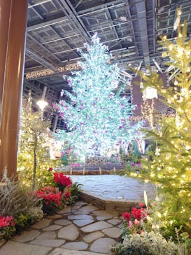 安城産業文化公園デンパークに投稿された画像（2024/12/21）