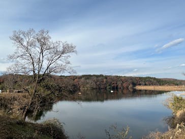 ムーミンバレーパークに投稿された画像（2024/12/21）