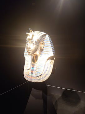MYSTERY OF TUTANKHAMEN 体感型古代エジプト展に投稿された画像（2024/12/21）