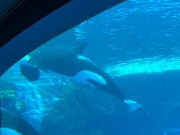 名古屋港水族館に投稿された画像（2024/12/21）