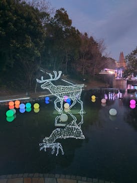 安城産業文化公園デンパークに投稿された画像（2024/12/21）