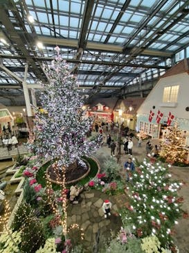 安城産業文化公園デンパークに投稿された画像（2024/12/21）