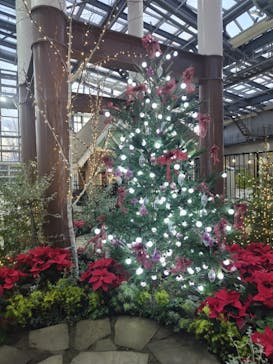 安城産業文化公園デンパークに投稿された画像（2024/12/21）