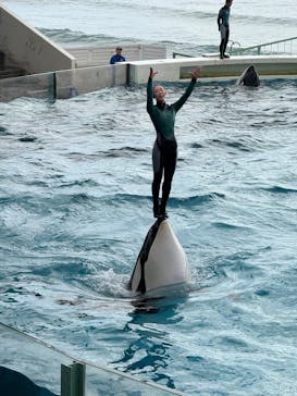 鴨川シーワールドに投稿された画像（2024/12/21）