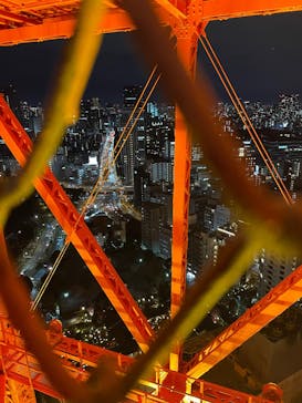 東京タワーに投稿された画像（2024/12/21）