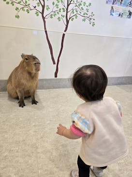 アニタッチみなとみらいに投稿された画像（2024/12/21）