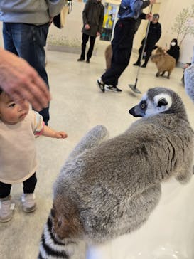 アニタッチみなとみらいに投稿された画像（2024/12/21）