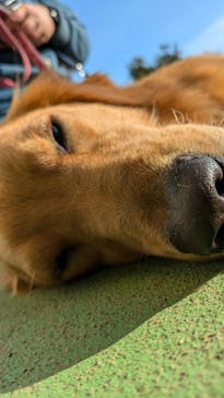 つくばわんわんランドに投稿された画像（2024/12/21）