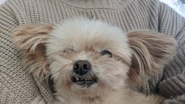 つくばわんわんランドに投稿された画像（2024/12/21）