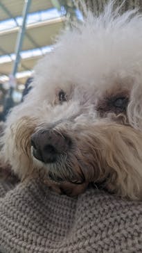 つくばわんわんランドに投稿された画像（2024/12/21）