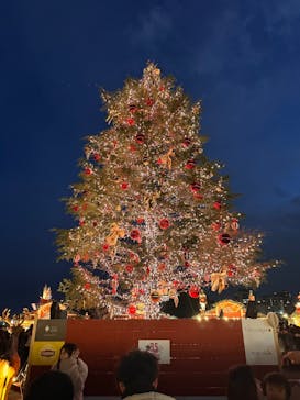 Christmas Market in 横浜赤レンガ倉庫 2025に投稿された画像（2024/12/21）