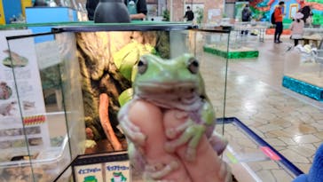 いきもの探検隊上尾に投稿された画像（2024/12/21）