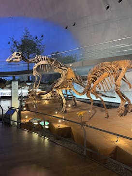 福井県立恐竜博物館に投稿された画像（2024/12/21）