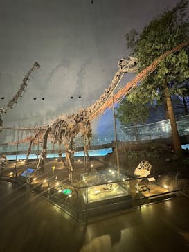 福井県立恐竜博物館に投稿された画像（2024/12/21）