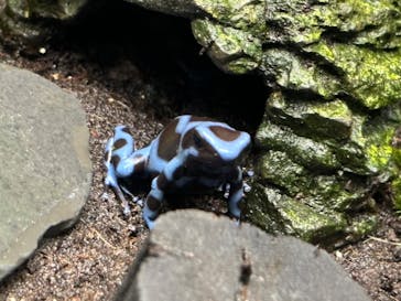 サンシャイン水族館に投稿された画像（2024/12/21）