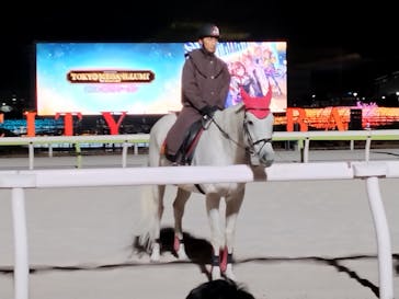 東京メガイルミに投稿された画像（2024/12/21）