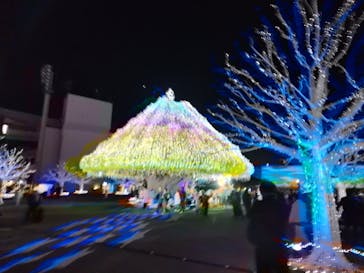 東京メガイルミに投稿された画像（2024/12/21）