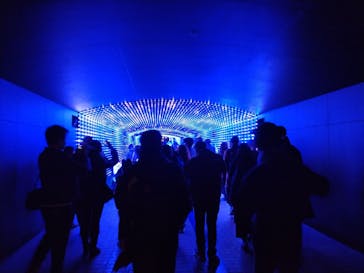 東京メガイルミに投稿された画像（2024/12/21）