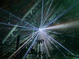 京都府立植物園　LIGHT CYCLES KYOTOに投稿された画像（2024/12/21）