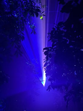 京都府立植物園　LIGHT CYCLES KYOTOに投稿された画像（2024/12/21）