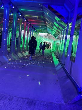 さがみ湖MORI MORIに投稿された画像（2024/12/21）