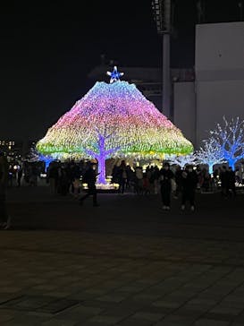 東京メガイルミに投稿された画像（2024/12/21）