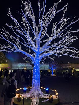 東京メガイルミに投稿された画像（2024/12/21）