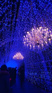 江の島シーキャンドルに投稿された画像（2024/12/21）