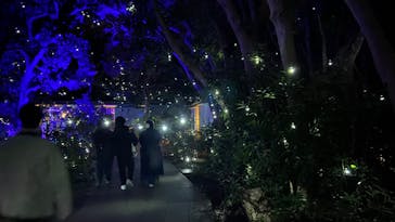 江の島シーキャンドルに投稿された画像（2024/12/21）