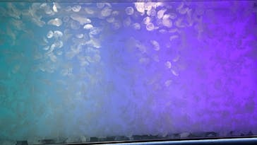 アクアワールド茨城県大洗水族館に投稿された画像（2024/12/21）