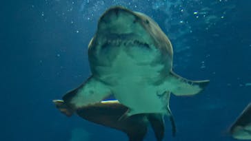 アクアワールド茨城県大洗水族館に投稿された画像（2024/12/21）