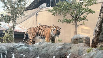 名古屋市東山動植物園に投稿された画像（2024/12/21）